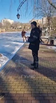 Более 10 человек, включая детей, вышли на лёд озера в столичном Екатерининском парке