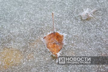 ���� ����� � ������������� ����� -19��