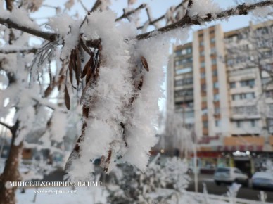В ночь на 3 февраля в Приднестровье ожидается самая холодная ночь — 17…20°С