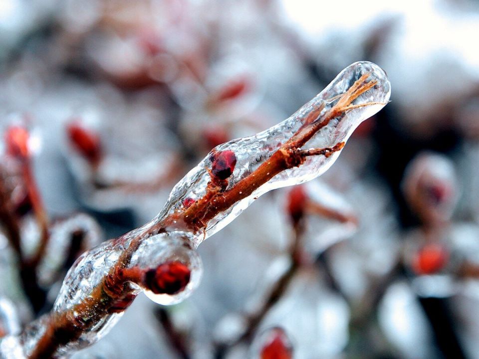 ��-�� ������� ������������ ����� �� �������� �������, ����� � ������� � ��� ��� ��������� ������� �� ���������