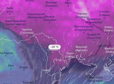 ��� ���� ���� ����� �������� �� ��� ����