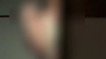 ���������� �� �������� ������������ ��������� ������������ ��������������� �������, ������� ���� 12-13 ���