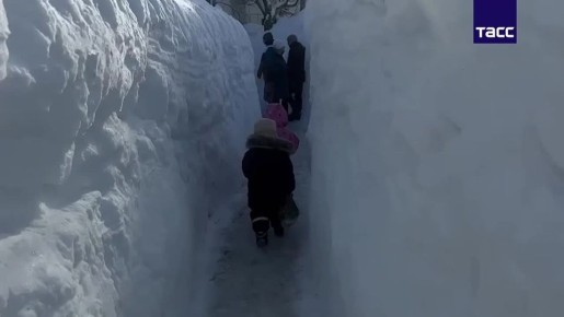 Жители Камчатки добираются до соцобъектов по снежным тоннелям после череды мощных циклонов, сообщает ТАСС