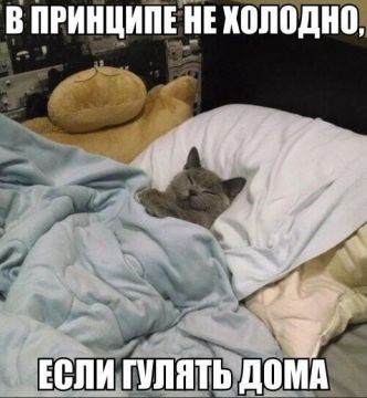 Самая холодная ночь недели ожидается 3 февраля в Приднестровье