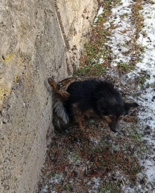 ��������� ������ ������, ������� �������� � ��������� ����� �������� � ������������