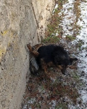 ��������� ������ ������, ������� �������� � ��������� ����� �������� � ������������