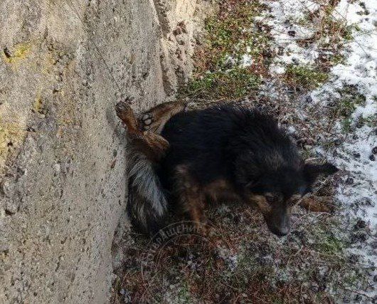 ��������� � ������������ ���������� ������