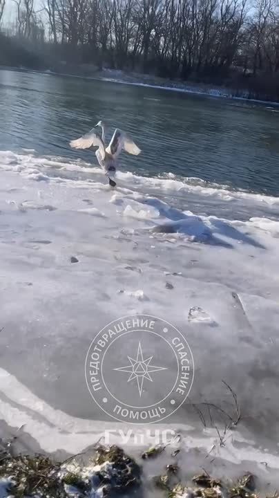 � ������� ������ ������� � ������� �� �������: ����, ��������� � �� ����� �������