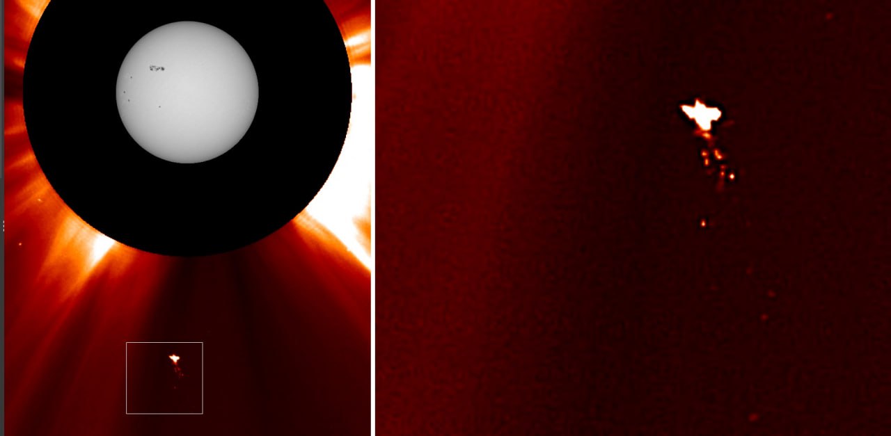 На снимке Солнца снова обнаружили похожий на птицу объект