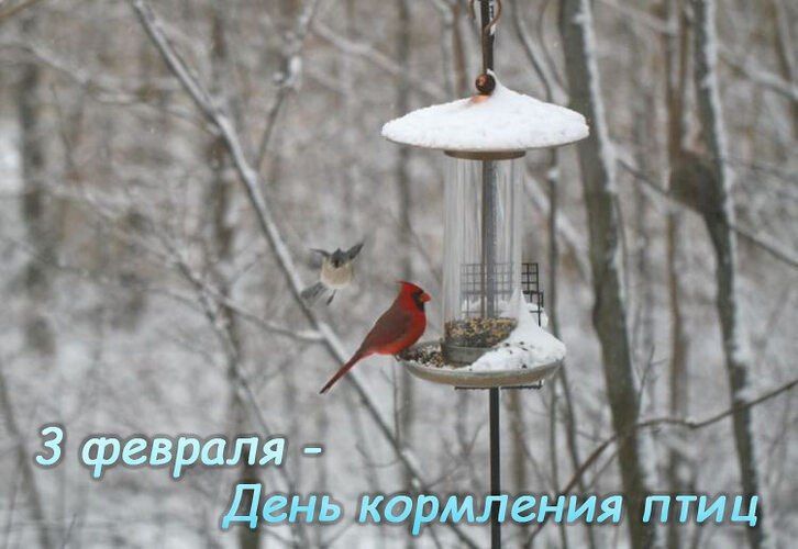 3 ������� � ���� ��������� ����