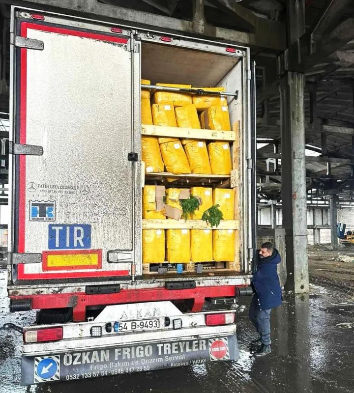 15 ���� ���������� ������ ���������� � �������, �������� ���������� ��������� �� ������ ������� ���������