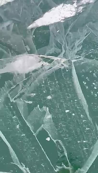 ����� �� ������������ ������������� ������ �������� ���, ����� �� ������� ������� ��������