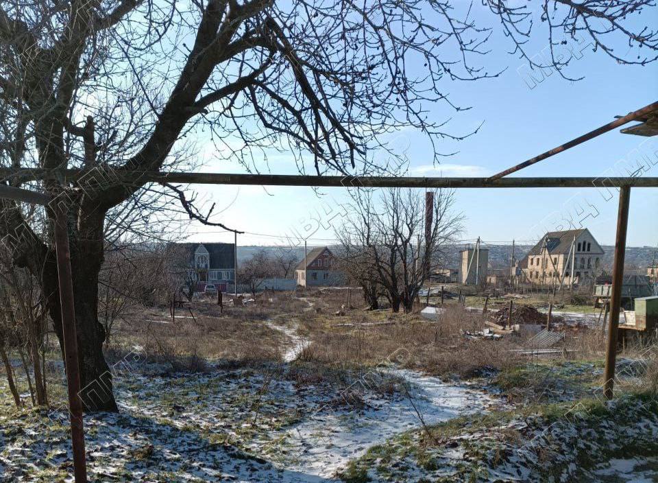 Убита собака. В УВД г. Бендеры обратилась жительница Паркан