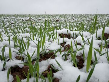 ������ ������� � ������ ��������� ��� ������� ��-�� �������������� ������� �� ������ �������