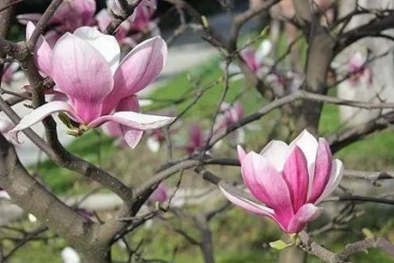 ������ �������� ������� ������� � ��������� ��������� - ��� ������ ������ 200 ��� ����� �� ������� � ����� �� ������ ������� �������� ������