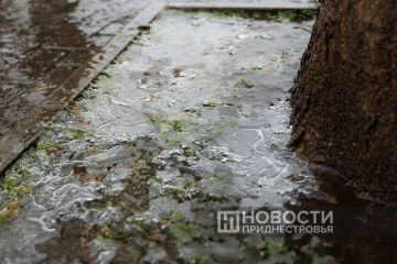 ������������� ������������� � ����� � ����������