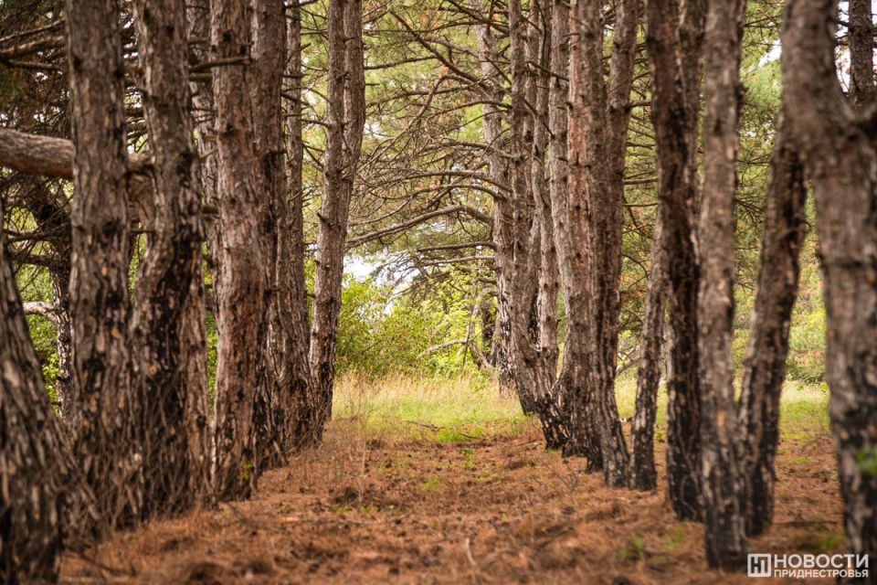 � ������������� ����� ���������� ��������������� �� ���������� ����� � ����� ��������