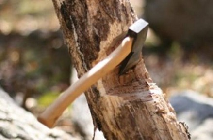 � ������������� ����� ���������� ��������� �� ������������� � ���������� ����� ����