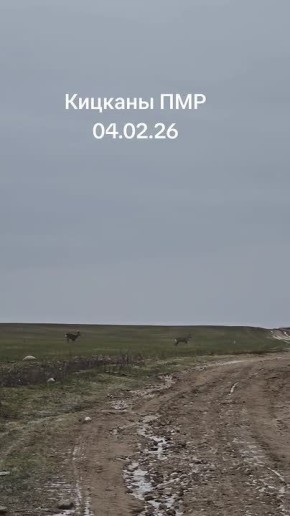 5 ������ ���������� ������ �������� � ��������� ��� ���������