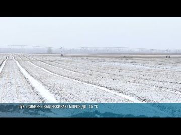 ������ ��������� ��������� �������� ������