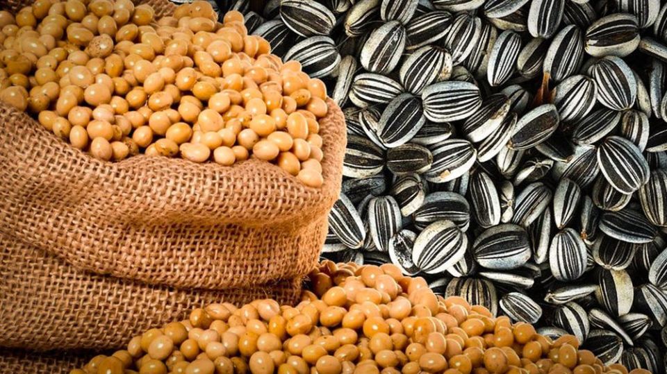 ����� ����������� �� ����� ���� ��������������