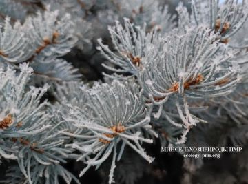 ������ ������ �� �������� ����������� �������������