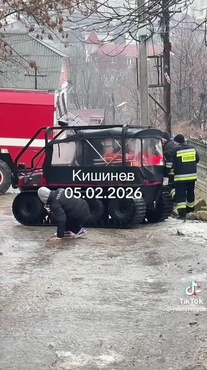 � �������� ���� ������� �������� � �������� ����� ������� ���������� ��������