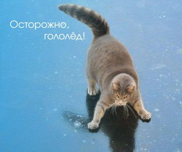 ���������, ������!. �� ������ ��������������, � 7 �� 9 ������� ��������� ������ � ���� ����� � ������� �����, �� ������� ���������� ���������� ����������