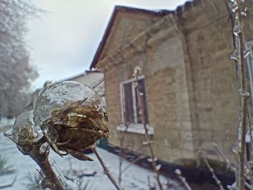 8 ������� ��������� �������� ������, ������� ������ ������ � ����� ������� ����� � �����, ������� �������, ����� � ����� ������� �����