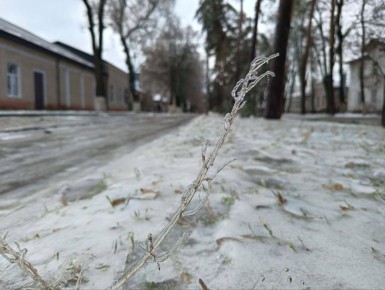 �� ������ ��-�������� �������� � �� � ������� ���������, ���� � ����������