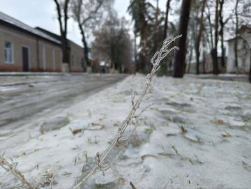 �� ������ ��-�������� �������� � �� � ������� ���������, ���� � ����������