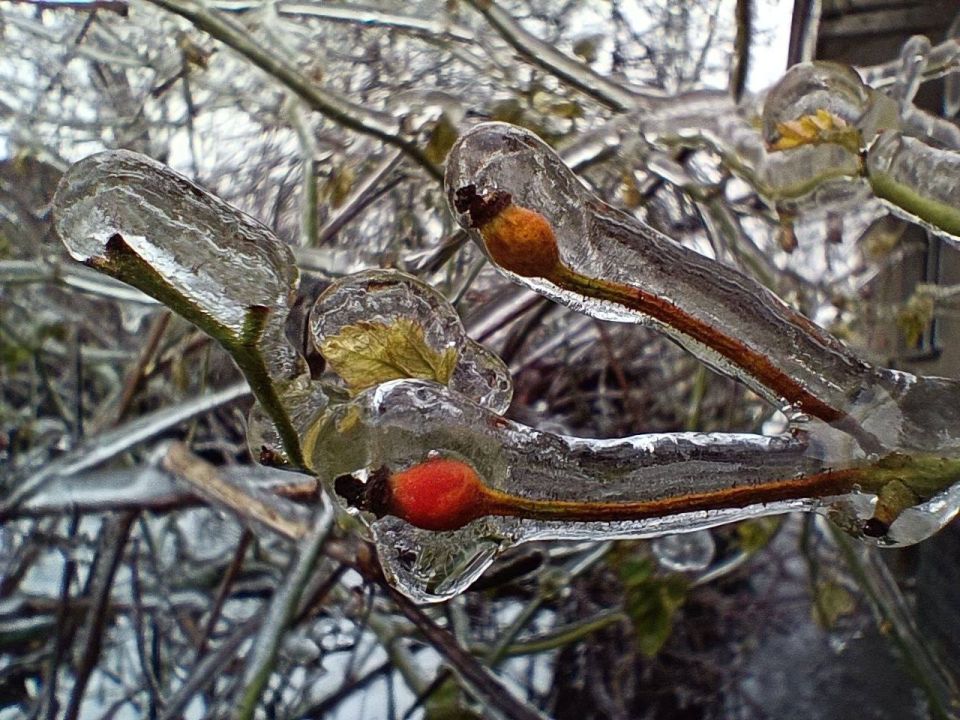 ��������� �������.. ���� �� �����������