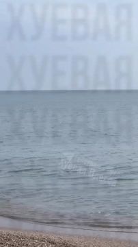 ���������� � �����������