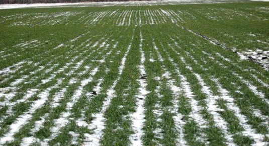 ����������������� ���: � ��������� ������ � �����