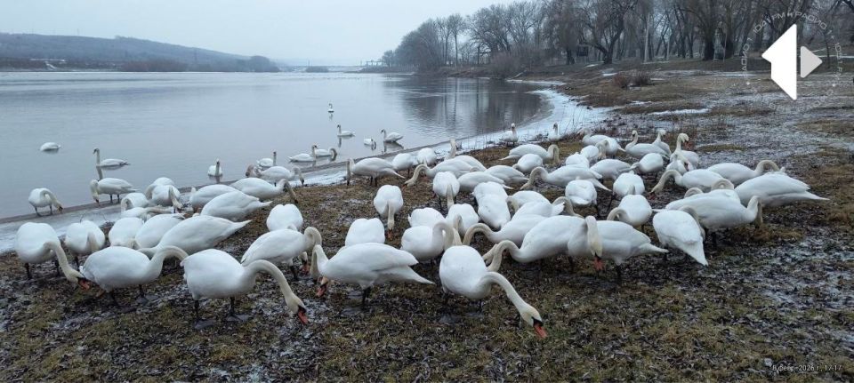 ���������� �������� ������� �������� ������� ����