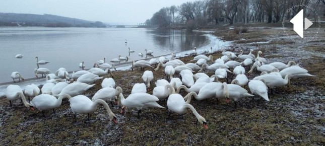 ���������� �������� ������� �������� ������� ����