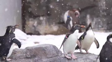 �������� ������������ ����� � ������ �� �����