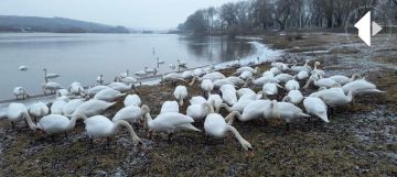 ���������� �������� ������� �������� ������� ����