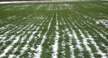 ����������������� ���: � ��������� ������ � �����