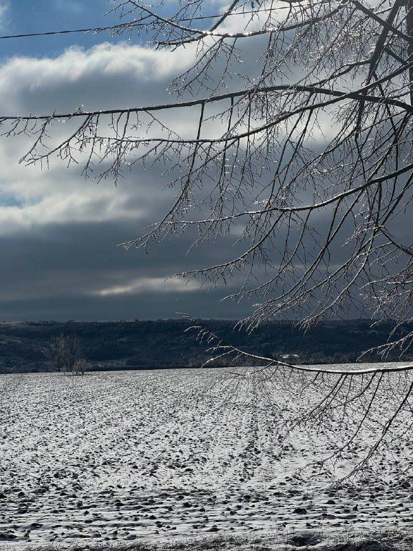 �10 ������� ��������� ���������� ����������, ��� �������