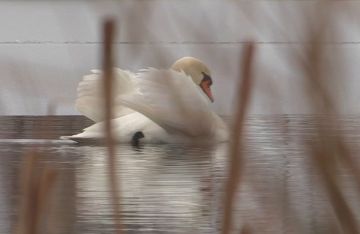 ����� ���� �������� ������ � �������� �����������