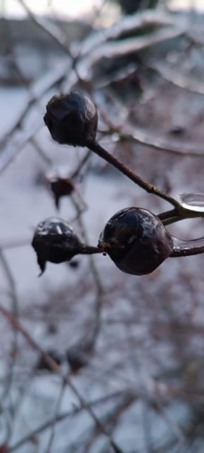 ������ ����� � � ���������� ������� ����