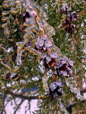 �������, ��������� �����. ������ �������� ����������� ������������� ������� ���������, �� ��������� ������� � ����������