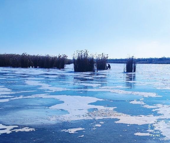 ��������� ������������ � ��������� ��� ����������, ��������� ������������� � �������� �� �� ����� ������