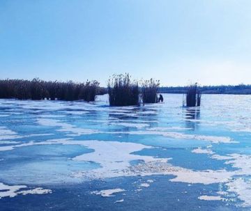 ��������� ������������ � ��������� ��� ����������, ��������� ������������� � �������� �� �� ����� ������