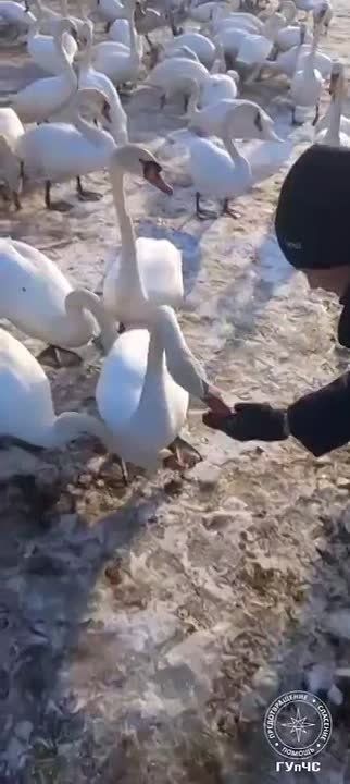 ��� ���, ����� �����������?!� � �� ����� �������������� ��������� ����� � ������ �������� ������� �� ������������� ��������� ��������� �������