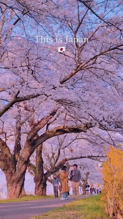 Япония откроет визовые центры уже сегодня — утром заработают точки в Москве и Петербурге