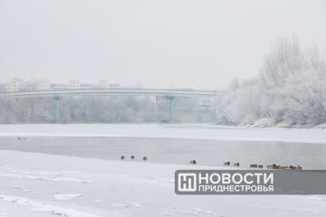 �������������: ������ � ���������� ��������� �����