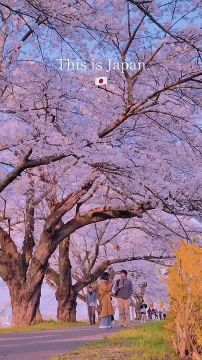 ������ ������� ������� ������ ��� ������� � ����� ���������� ����� � ������ � ����������