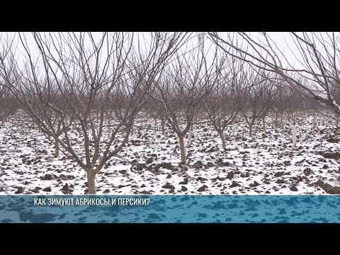 ��������� ������ ��������� ����� �� ��������� � � ������������� ������ ������� ���� ������� ������ ����� � ����